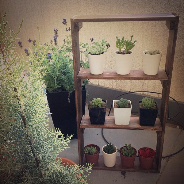 多肉植物用の棚 -DIY-｜DIY｜Hello! RiceHouse - ver.3